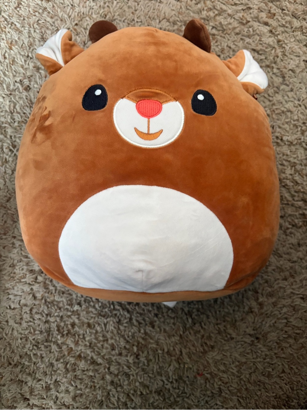 Rudolph squishmellow. NWOT
